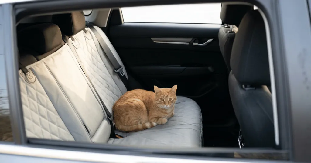 cat car seat cover