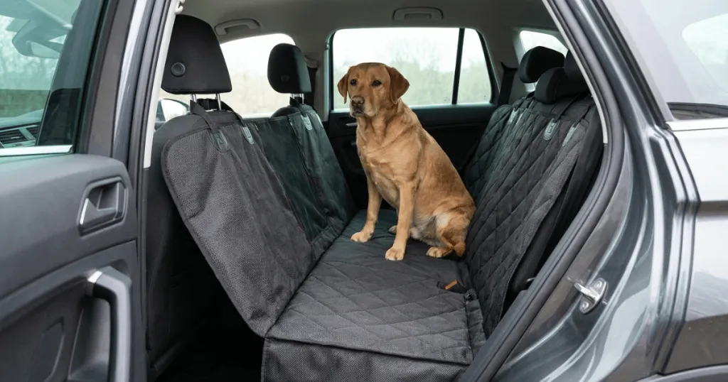 dog car seat cover